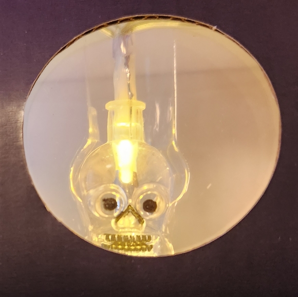 NEW Spooky String Lights 4ft lighted Bats, Spiders, Ghosts, Pumpkins & Skulls - Picture 2 of 9